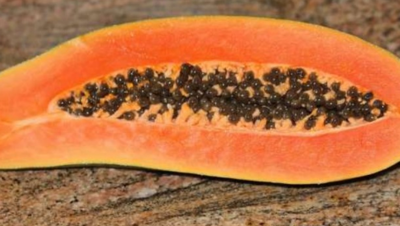 frutti di papaya