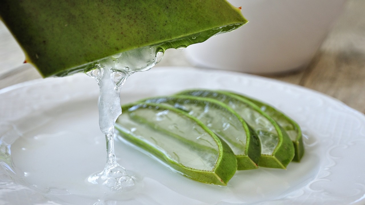 aloe fertilizzante