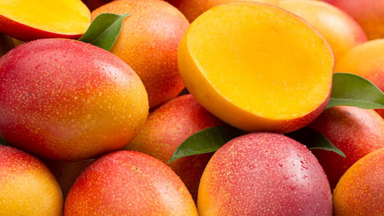 mango raccolto