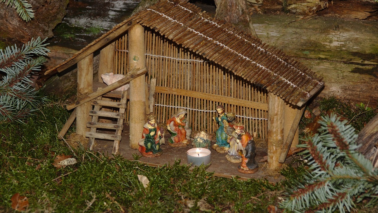 muschio presepe