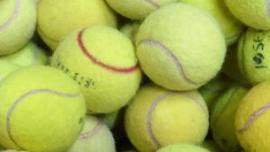 Il consiglio del giardiniere: ecco perché gli inglesi lasciano le palline da tennis nel loro giardino in inverno