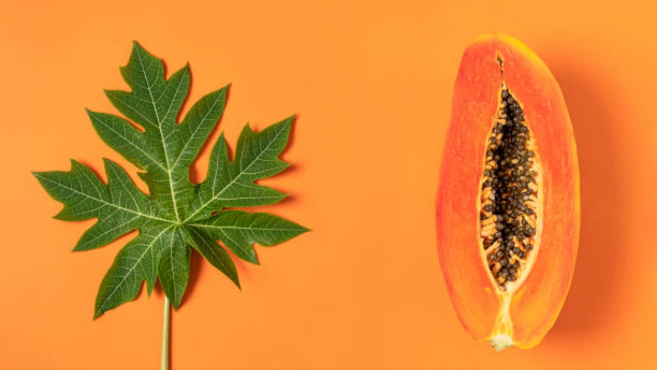 foglia e frutto di papaya