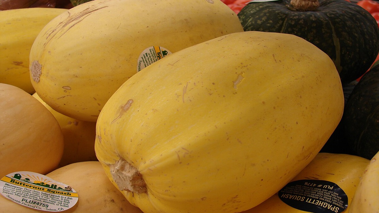 zucca spaghetti gialla