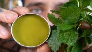 Come usare menta o limone per creare un balsamo per le labbra