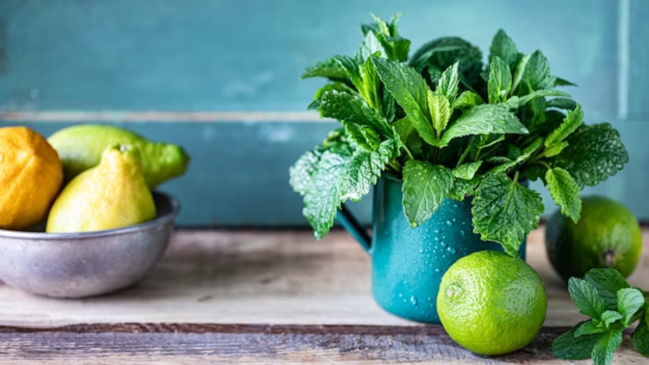 Menta in cucina