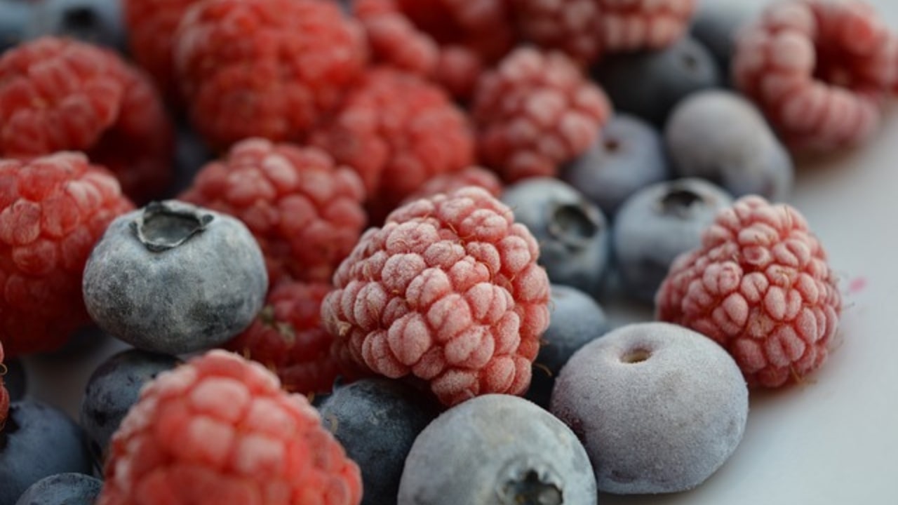 Le qualità nutrizionali dei frutti di bosco