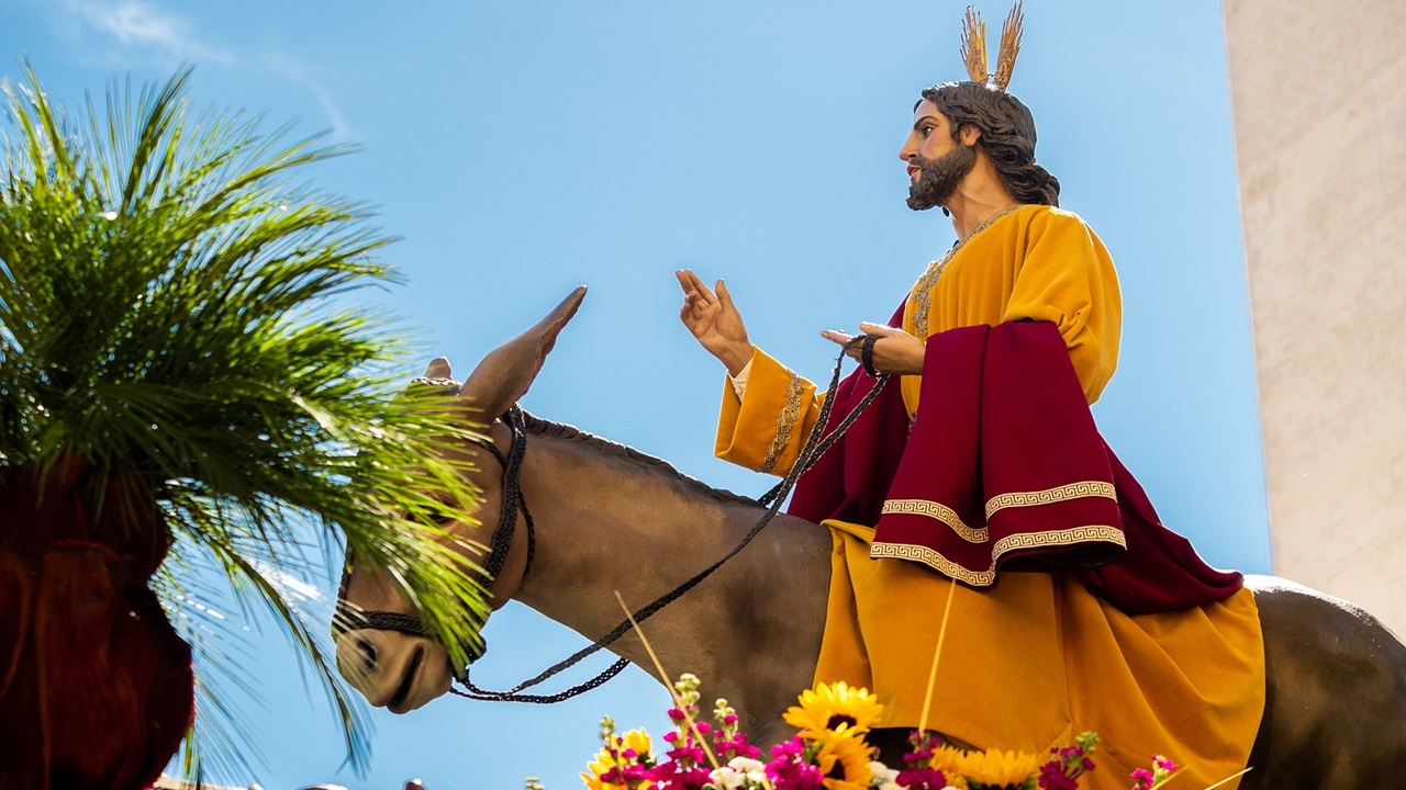 palme pasqua