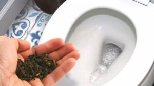 Come eliminare l’odore di urina in bagno e lasciare un profumo fragrante utilizzando una spezia