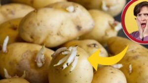 Patate: come non farle germogliare e conservarle con un suggerimento infallibile