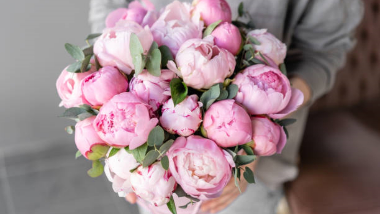 bouquet di peonie