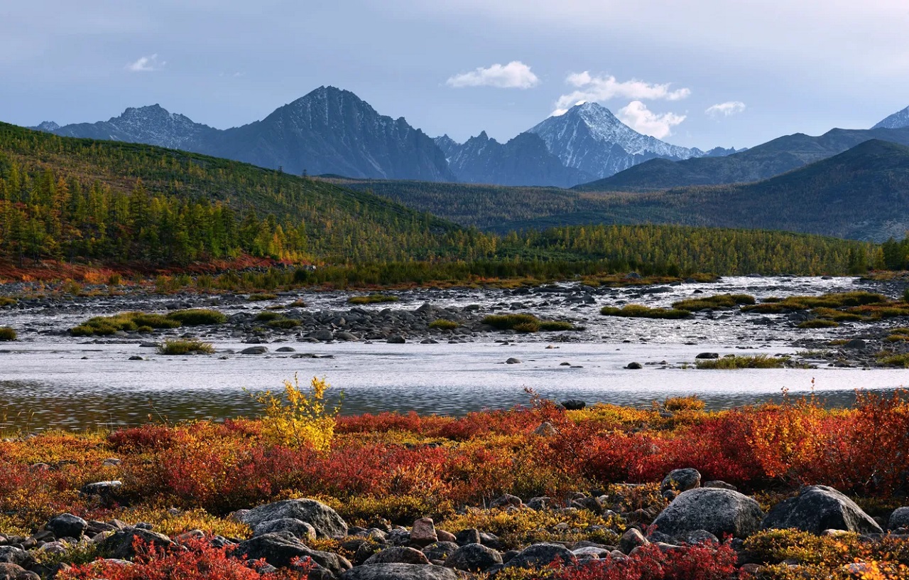 fiume tundra siberiana