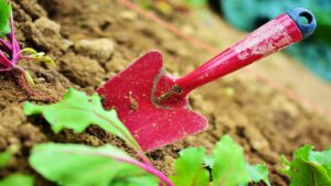 Come far manutenzione degli attrezzi da giardino usando sabbia e olio