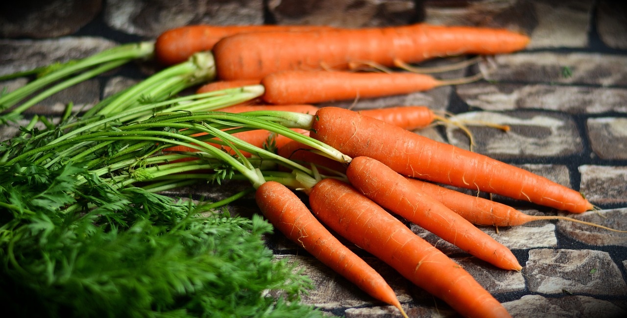 foglie di carote concentrato di vitamine