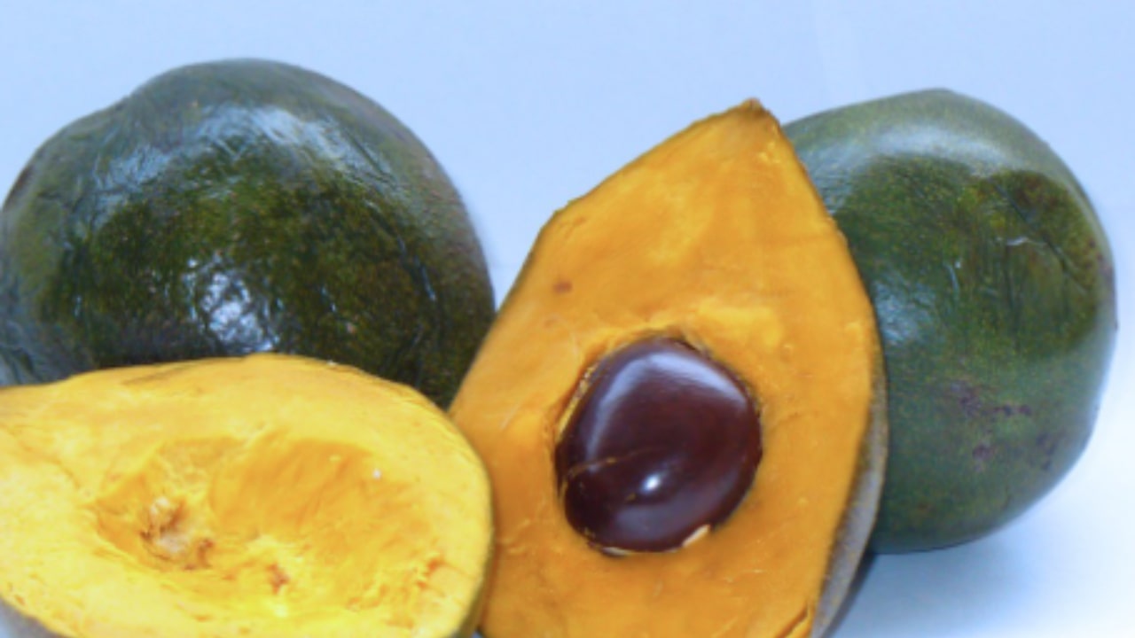 Il frutto della Lucuma