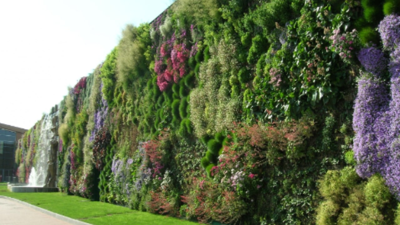 Quali fiori coltivare a Settembre