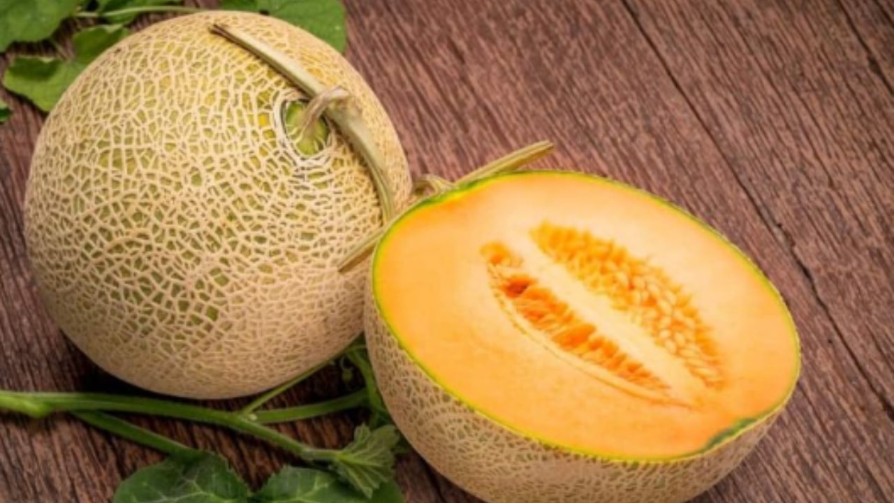 Yubari King: ecco perché è il melone più costoso del mondo