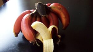 In cosa differiscono le banane rosse dalle gialle? Oggi scopriremo quali sono i loro benefici esclusivi