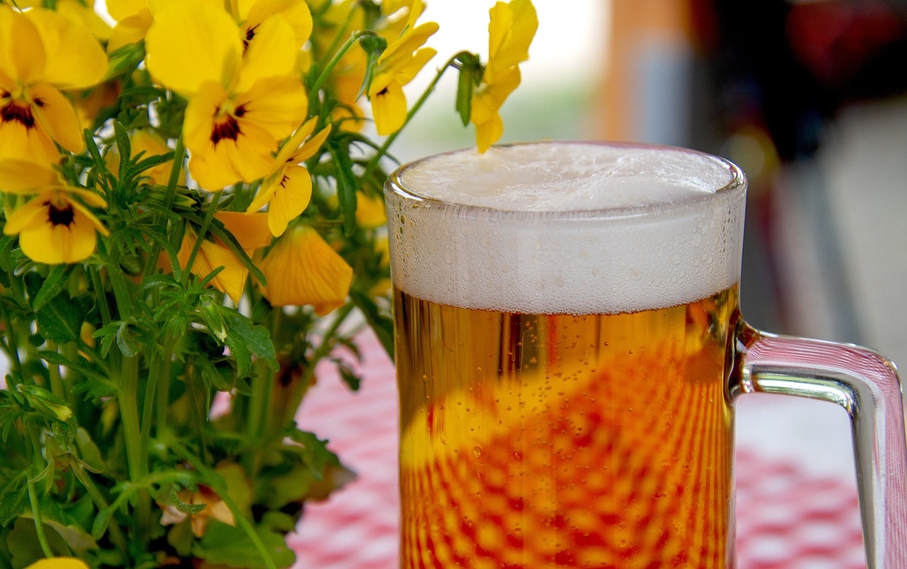 birra da utilizzare per irrigare i gerani