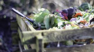 Quanto deve essere caldo il compost? La risposta degli esperti