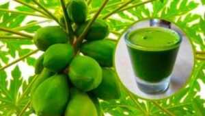 Drink “miracoloso” a base di foglie di Papaya: la ricetta fatta in casa assolutamente da provare