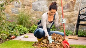 Piccoli trucchetti per organizzare al meglio il giardino in vista dell’Autunno