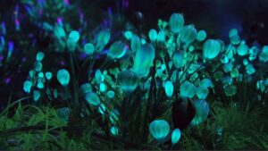 Piante bioluminescenti: i vegetali che possono illuminare il tuo giardino anche di notte