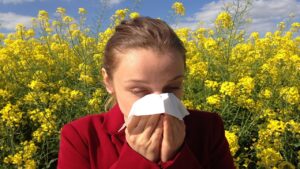 Allergie autunnali, attenzione a queste piante, funghi e muffe