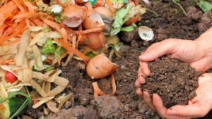 9 cose da non aggiungere mai al compost: vi spieghiamo perché