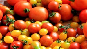 Come conservare i pomodori a lungo senza usare acqua, sale o aceto