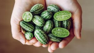 Cucamelon o cetriolo messicano: scopri cos’è e perché coltivarlo