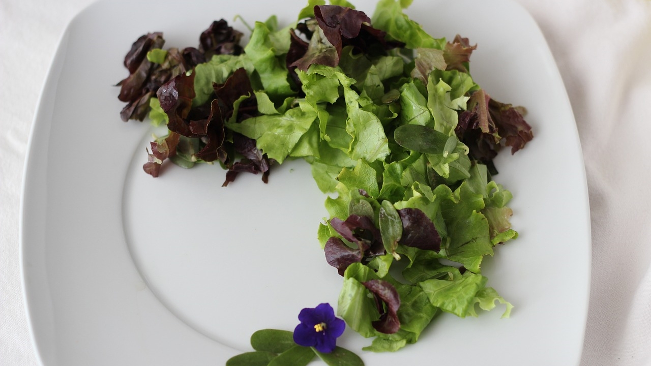 insalata con portulaca