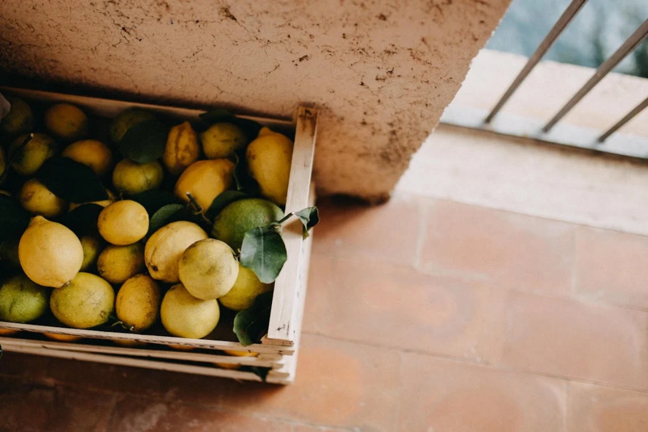 Fumaggine del limone: come combatterla