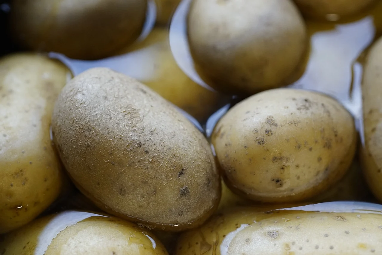 Patate verdi: conservale in maniera adeguata affinché siano sicure