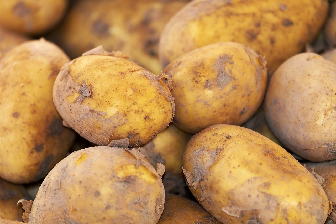 Patate verdi: scopri quando sono diventate tossiche