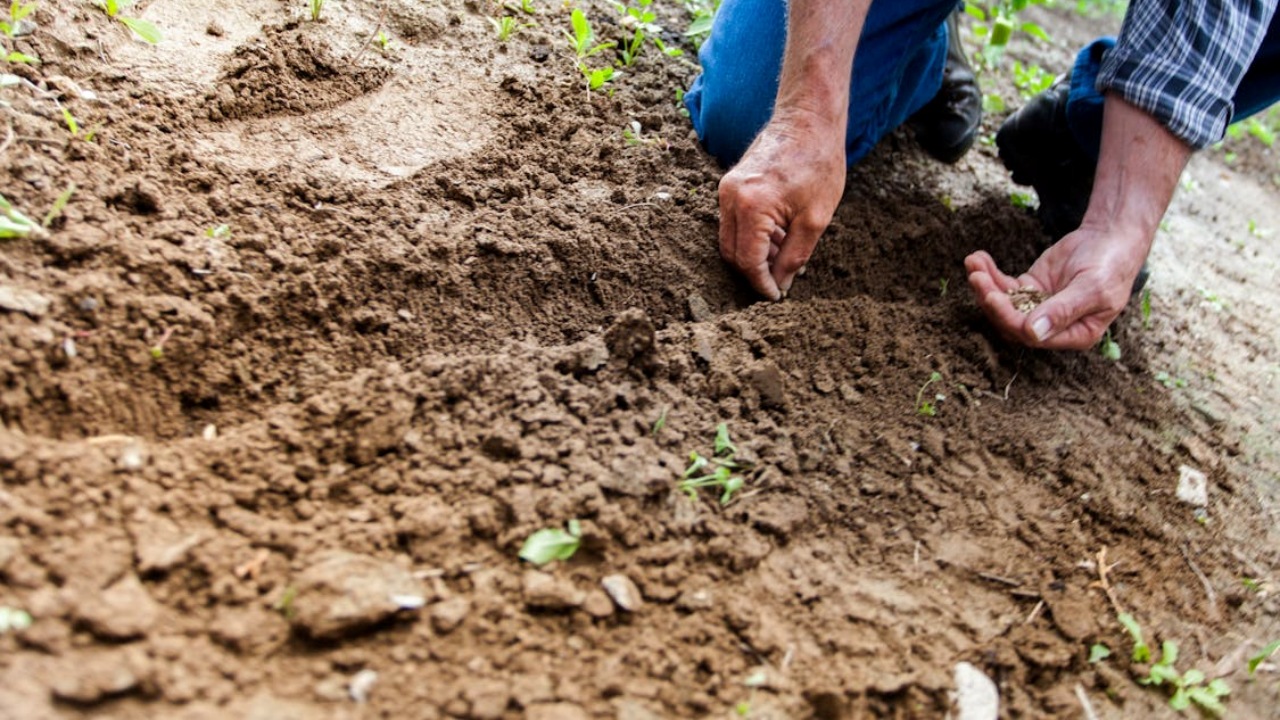 Terreno: ecco come prepararlo