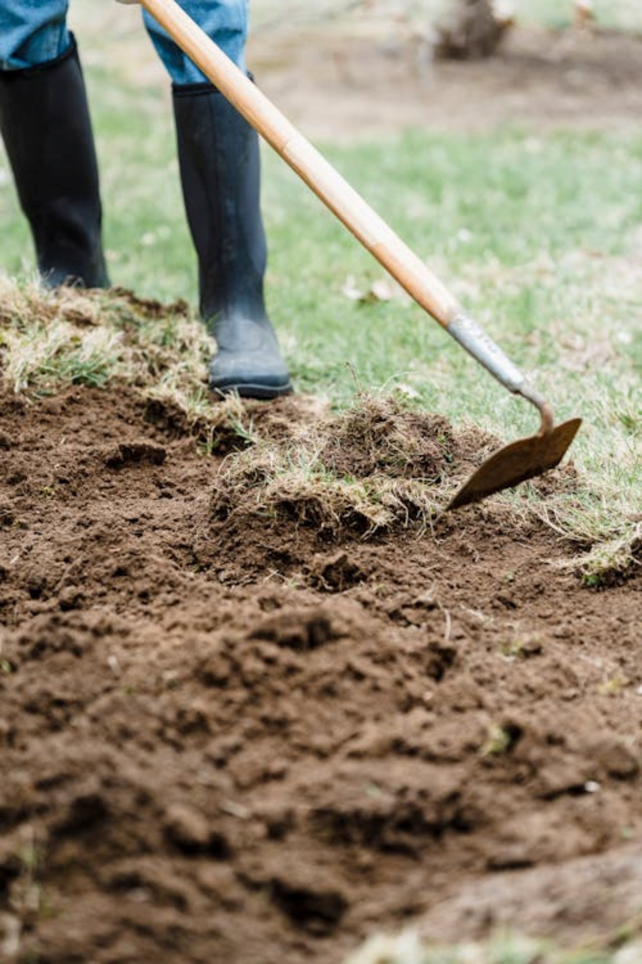 Terreno: trucchi per renderlo più fertile