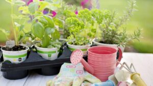 Come fare giardinaggio con i bambini: 5 idee per divertirsi con i più piccoli