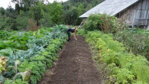 Orto e giardino d’ottobre: tutti i lavori da fare