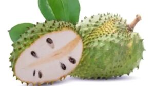 Il potere del soursop: un alleato naturale con innumerevoli benefici