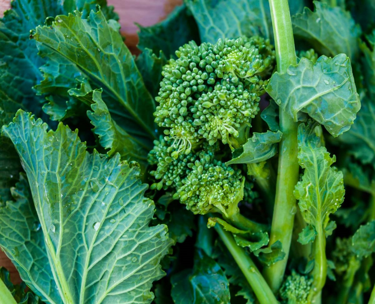 Cime di rapa: alleato del benessere