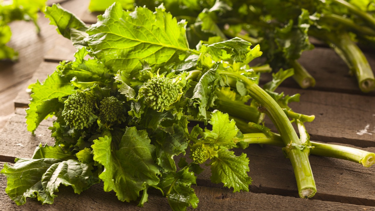 Cime di rapa: pianta galiziana