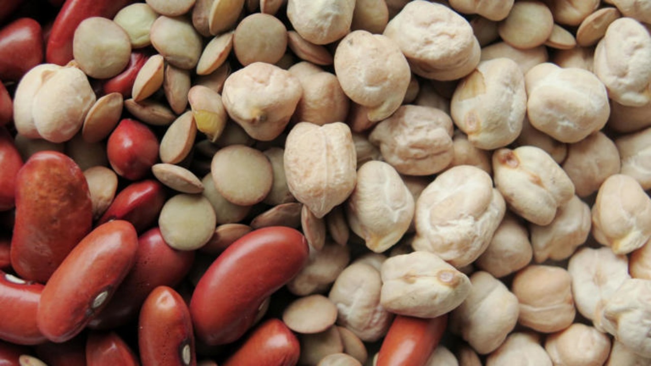 Legume: i ceci