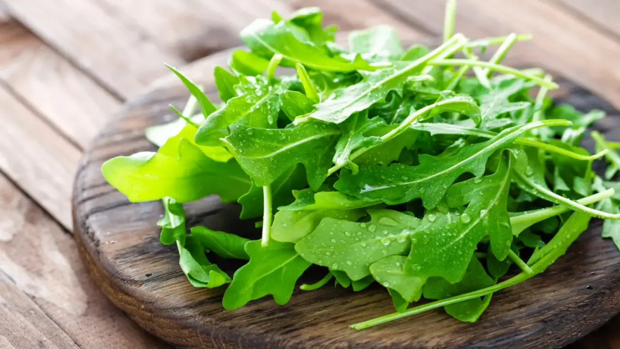 Rucola: conosciamola meglio