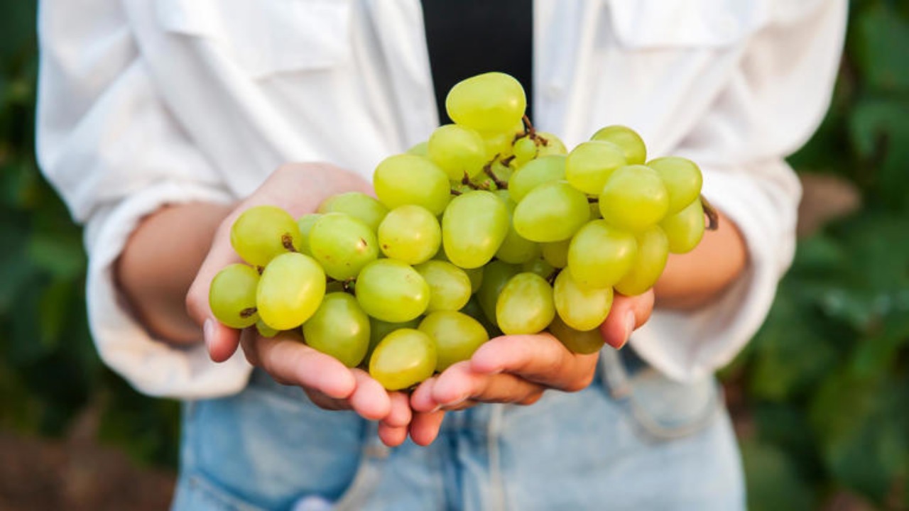 Uva: ecco chi non può consumarla