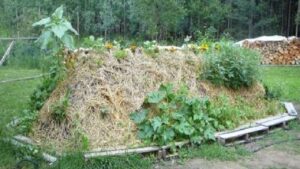 Il segreto per un giardino più efficiente: realizza delle aiuole Hügel ripide