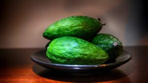 Feijoa, trucchi e segreti per coltivare questa pianta tropicale