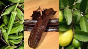 Procuratevi questi 3 ingredienti e vedrete voi stesse: foglie di guava, Aidan e gombo (okra)