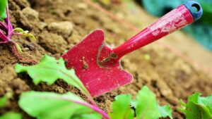 Come migliorare il terreno con i trucchi dei giardinieri