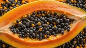 Semi di papaya: l’utilizzo di questo potente rimedio per la salute del fegato