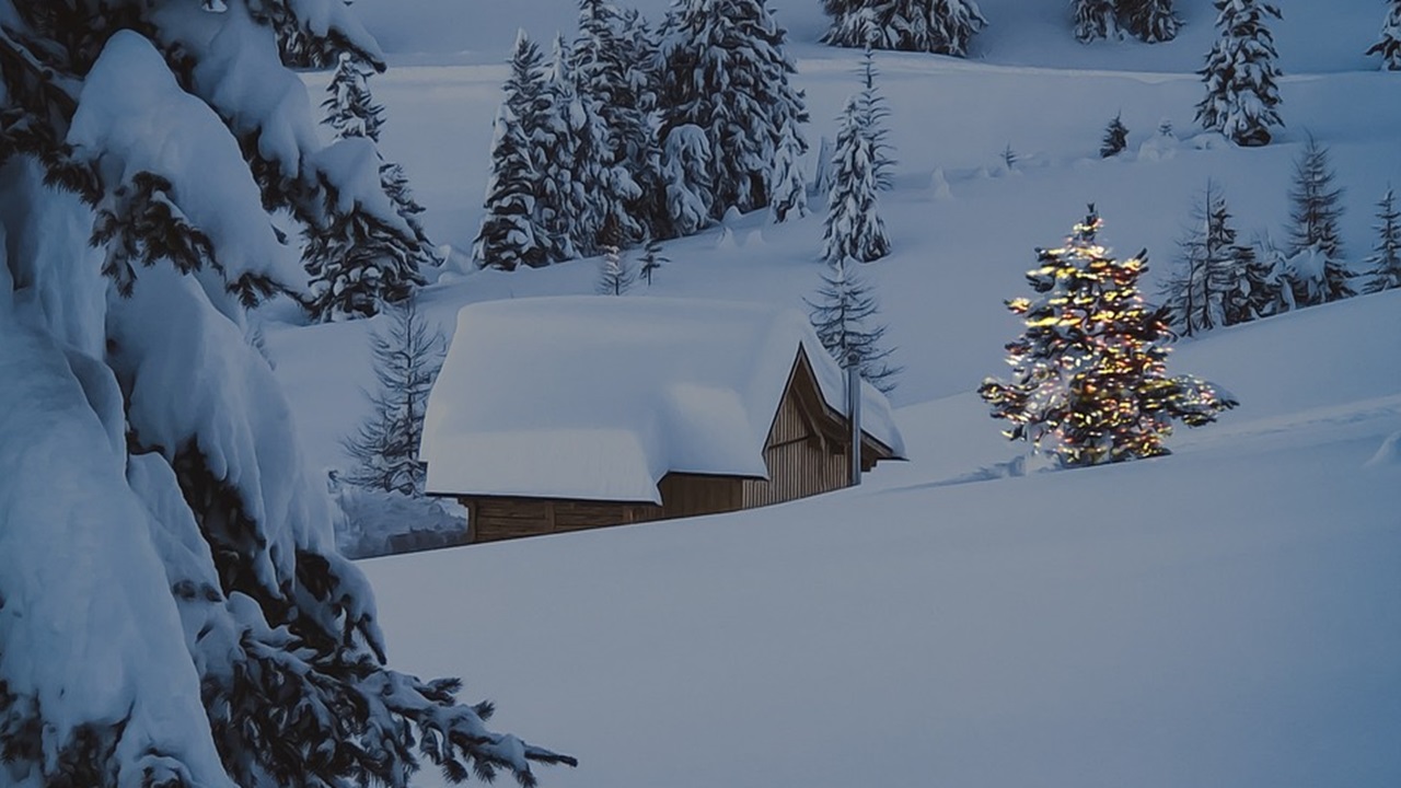 albero natale